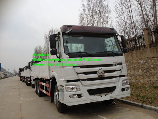Sinotruk 40T Stander 336hp 10 rueda el camión pesado del cargo
